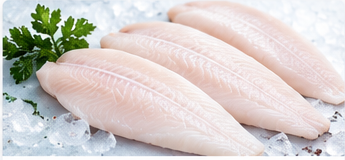 Pangasius