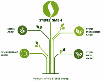 Members of teh Stefes Group