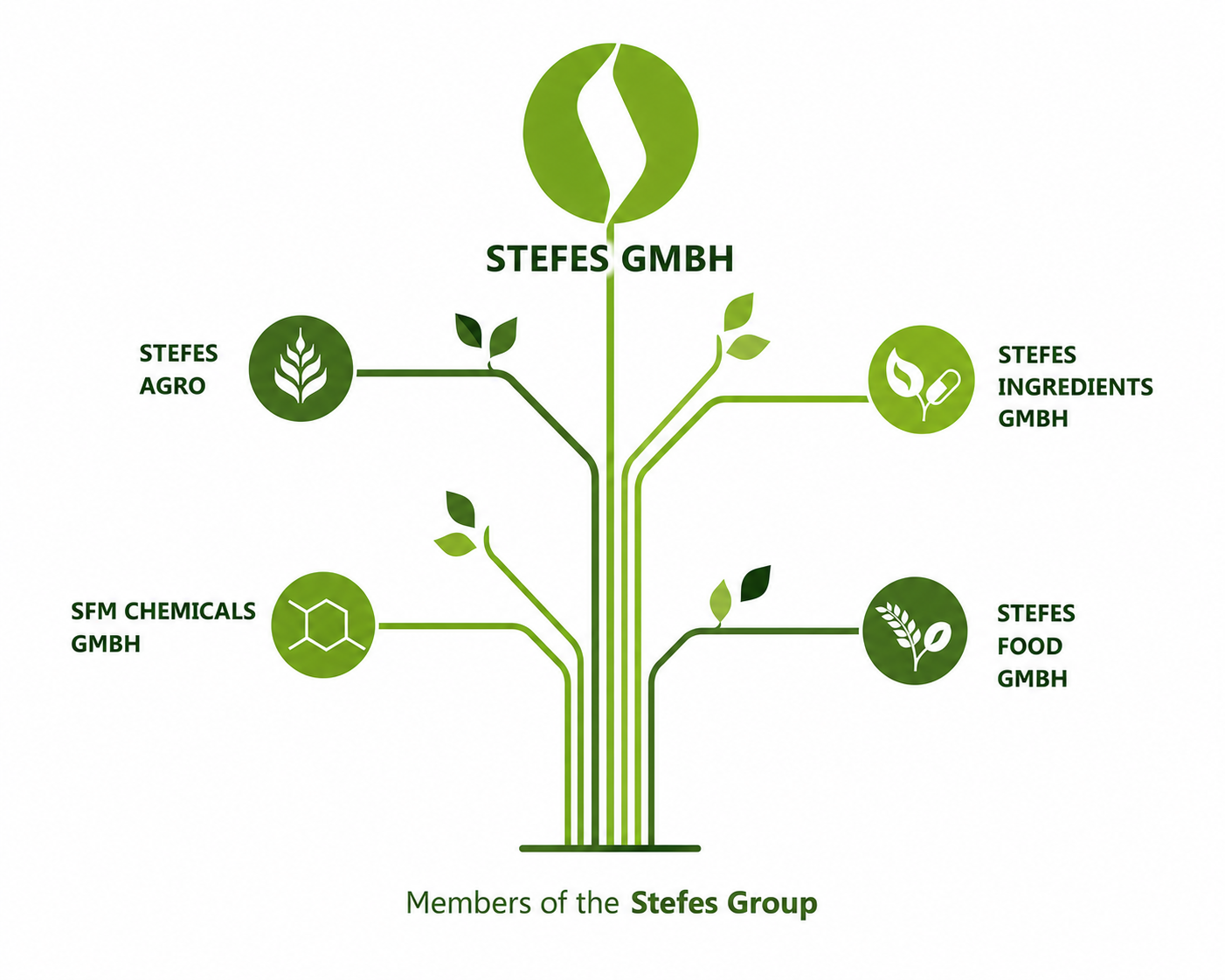 Stefes Group